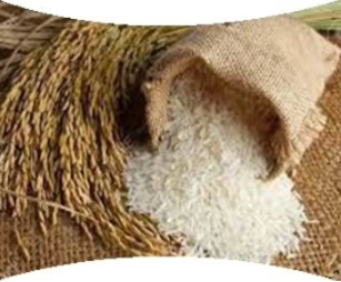 Kerala Rice